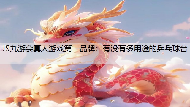 有没有多用途的乒乓球台