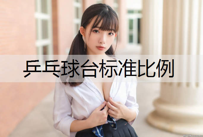 乒乓球台标准比例