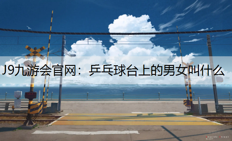 乒乓球台上的男女叫什么