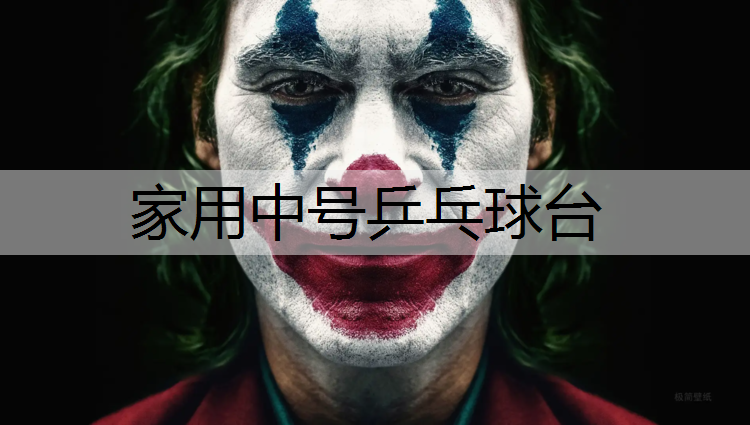 家用中号乒乓球台